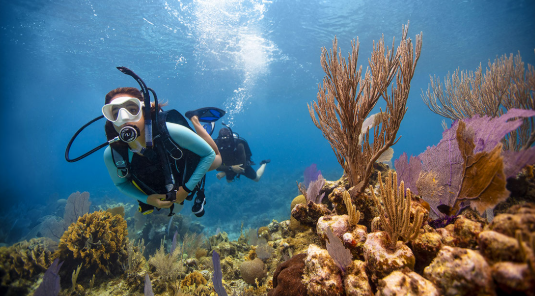 Planning a Scuba Diving Vacation to Roatán, Honduras